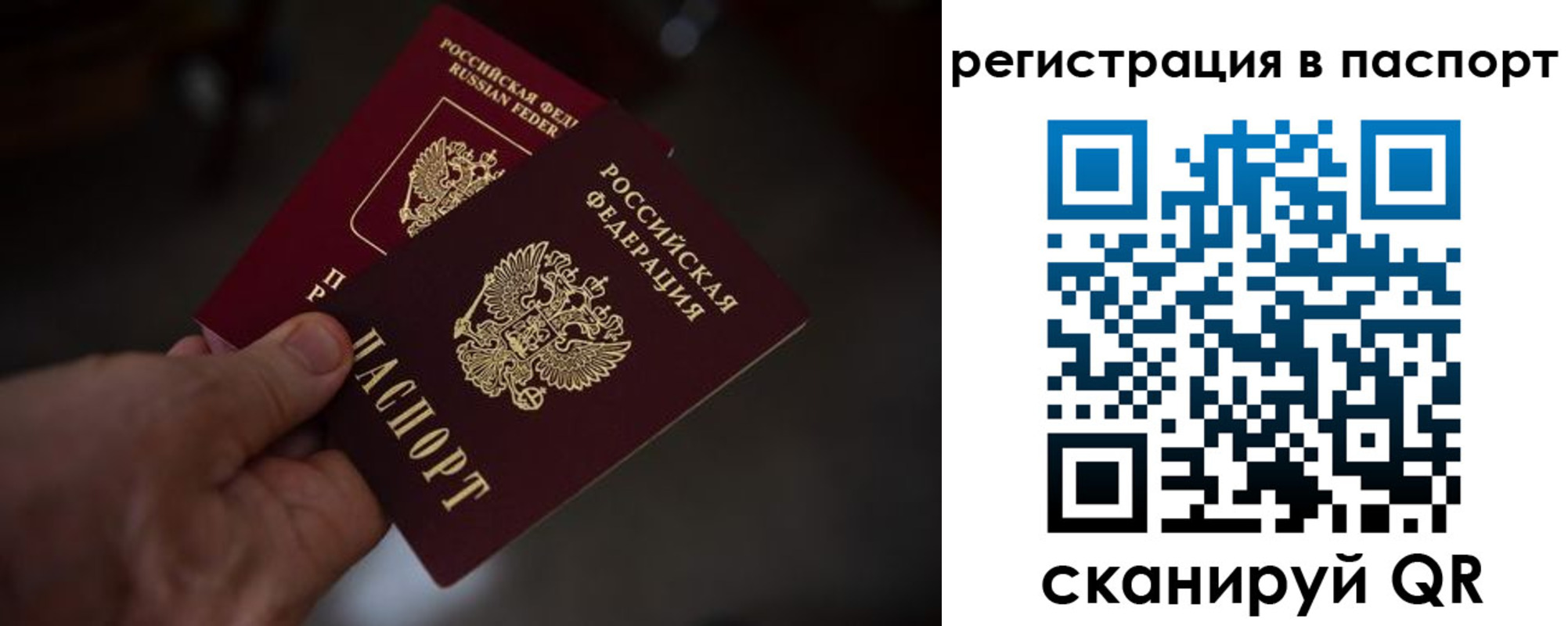 пропишу в квартире в Старой Руссе